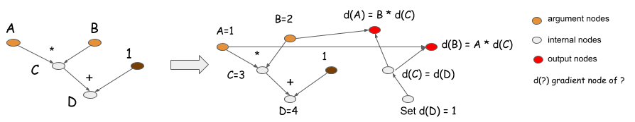 computation graph backward